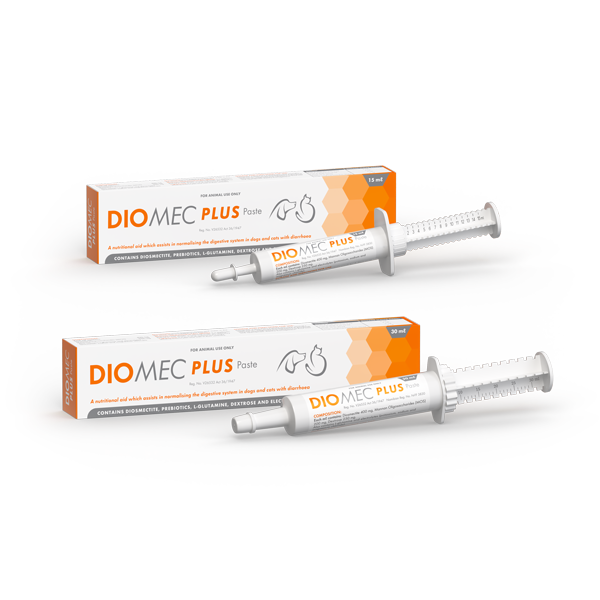 For the treatment of acute and chronic diarrhoea in dogs & cats. Diomec Plus Paste 15 ml and 30 ml.