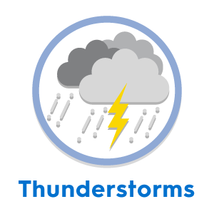 Thunderstorms are a cause of stress and anxiety in cats and dogs.