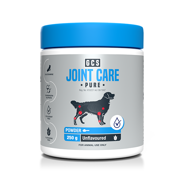 A nutritional supplement that supports joint health in dogs. GCS Joint Care Advanced Pure.