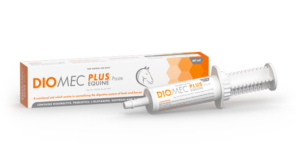 For the treatment of acute and chronic diarrhoea in horses. Diomec Plus Equine.