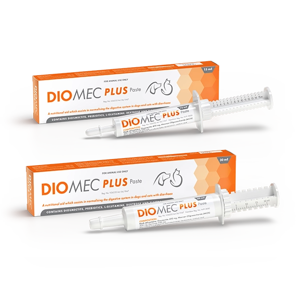 Diomec Plus Paste