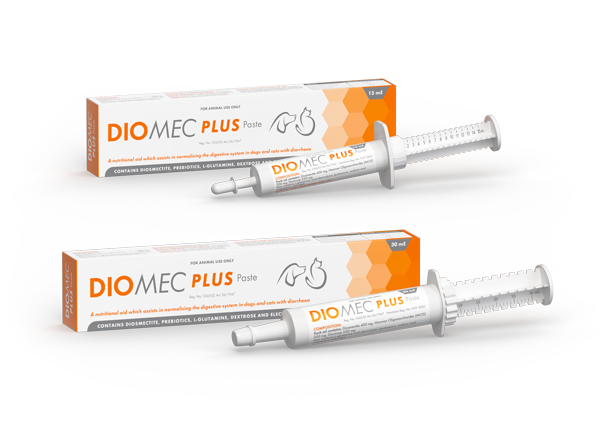 A nutritional aid which assists in normalising the digestive system in dogs and cats with diarrhoea. Diomec Plus.