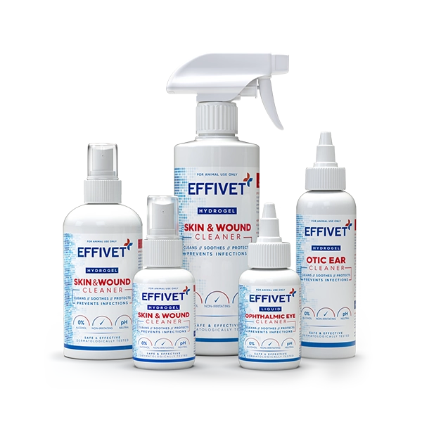 Effivet