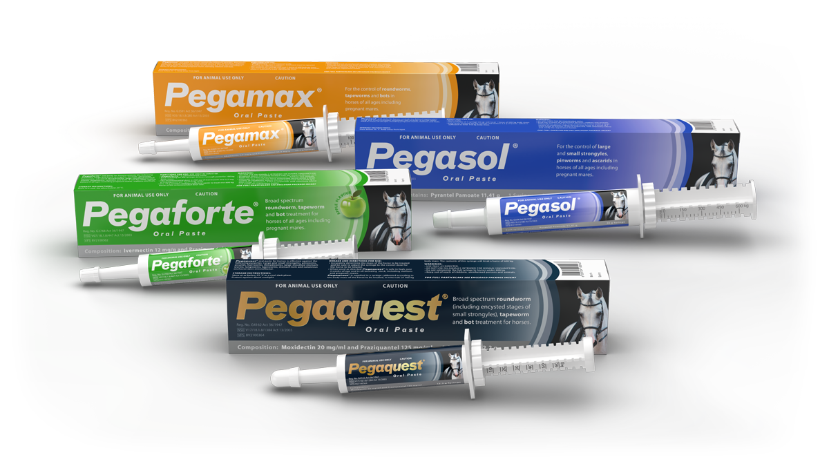 Pega oral paste dewormers for horses. Pegamax, Pegasol, Pegaforte and Pegaquest.