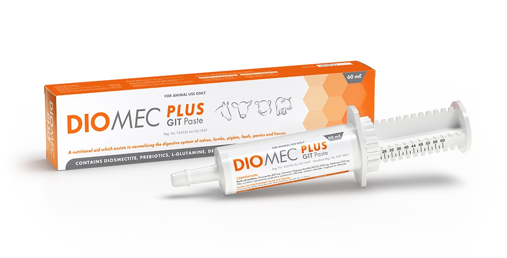 Diomec Plus GIT Paste. A nutritional aid which assists normalising the digestive system of calves, lambs, piglets, foals, ponies and horses.
