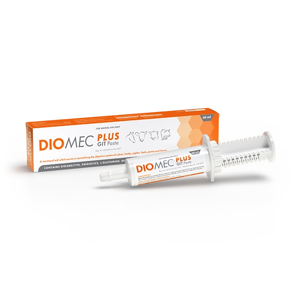Diomec Plus GIT Paste