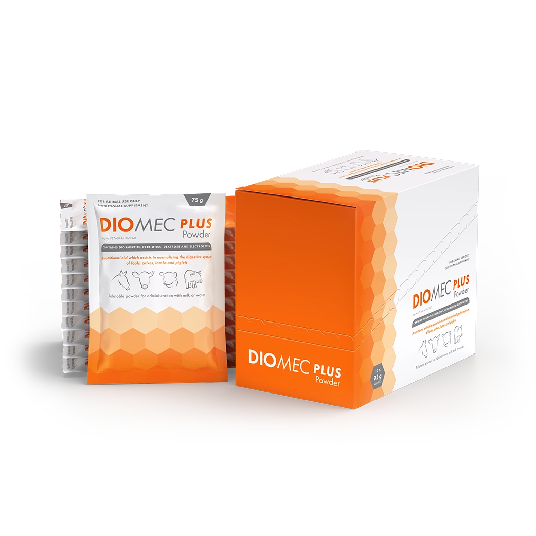 Diomec Plus Powder
